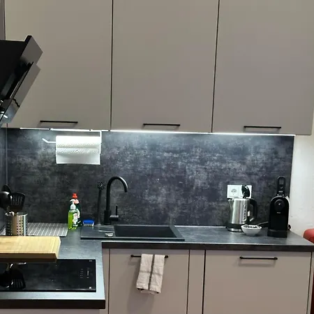 Stylisches City-apartment High End